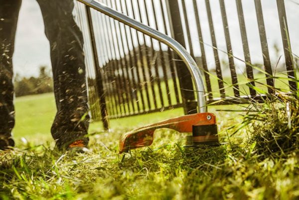 STIHL FS 50 C-E