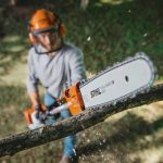 STIHL HT 250