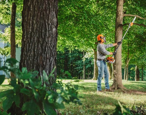 STIHL HT 250