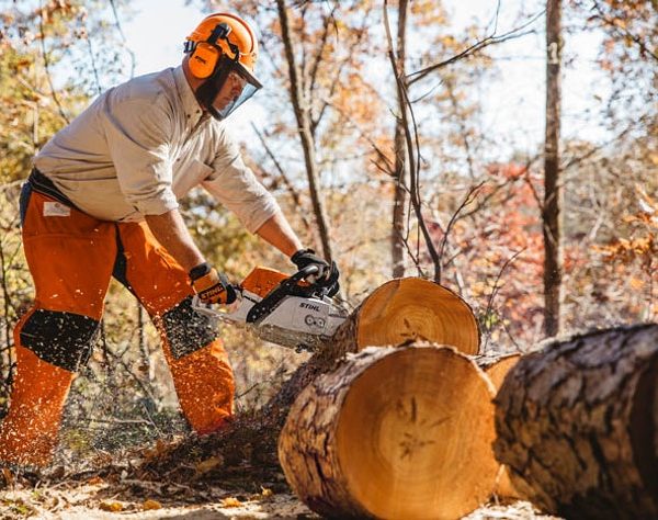 STIHL MS 311