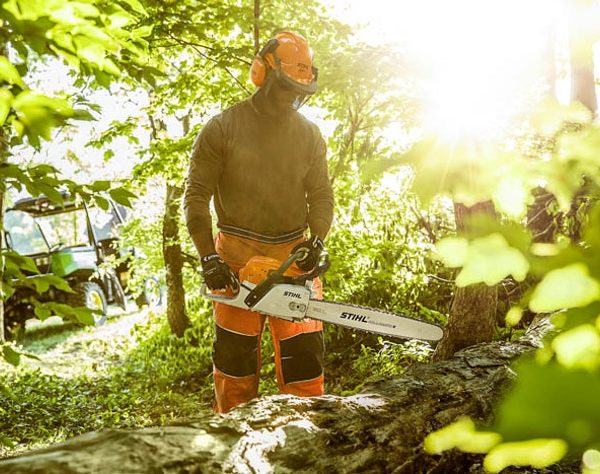 STIHL MS 291