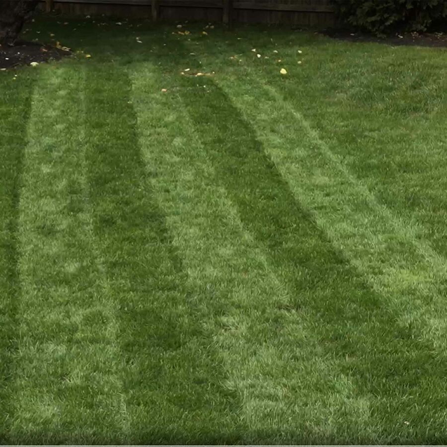 Toro 60V MAX* 21 in. (53cm) Stripe® Self-Propel Lawn Mower - 6.0Ah Battery Included (21621)