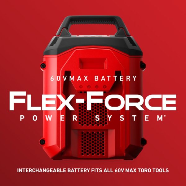 Toro 60V MAX* 21 in. (53 cm) Stripe® Battery Push, 4.0Ah (21611)